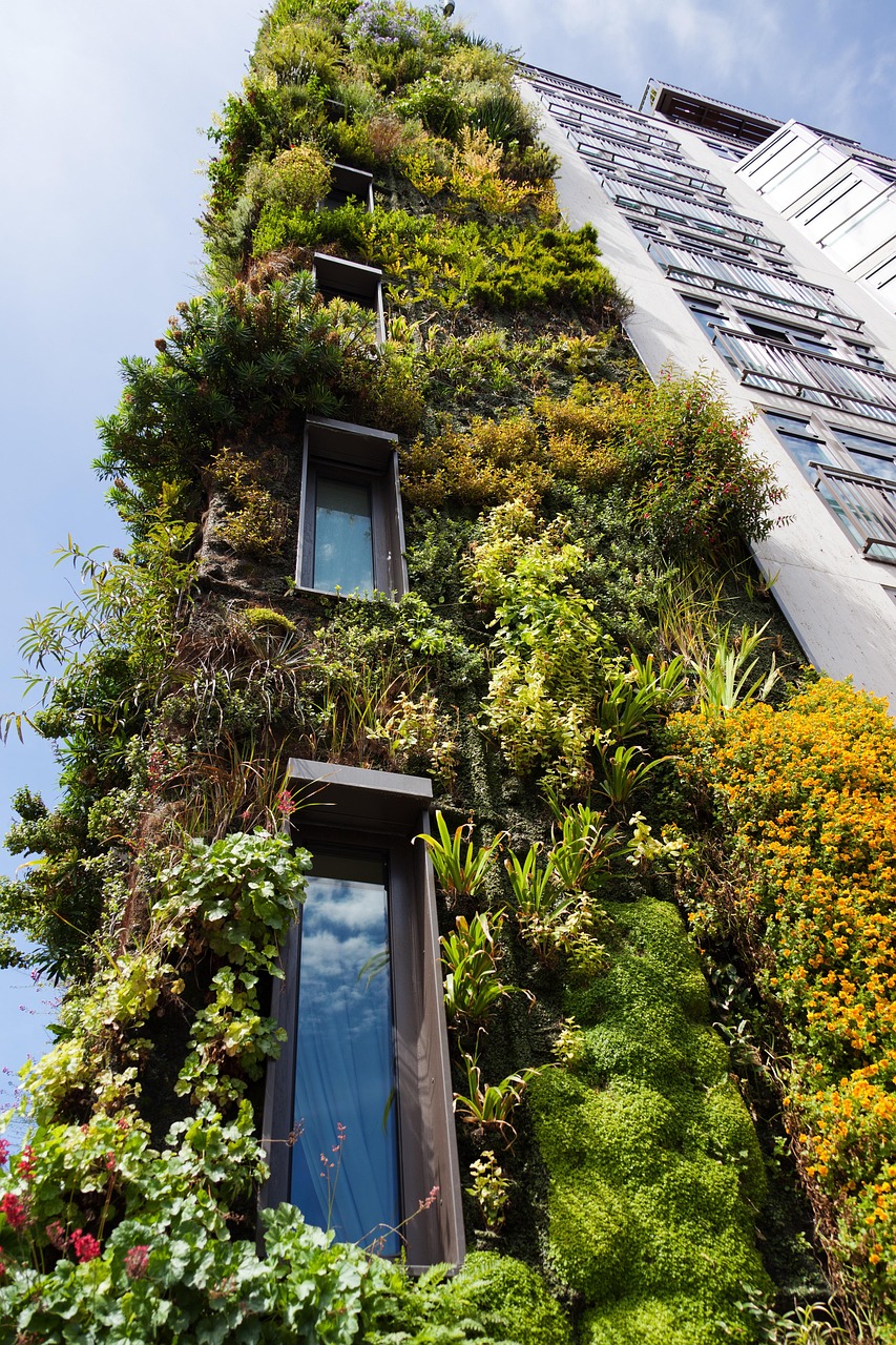 architecture, building, environment, exterior, flora, floral, foliage, fresh, grass, green, house, living, nature, pattern, plant, texture, wall, window, london, hotel, environment, exterior, nature, london, london, london, london, london, hotel, hotel, hotel, hotel